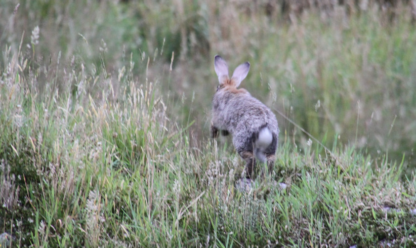 "Unten Am Fluss“-Remake in Produktion 