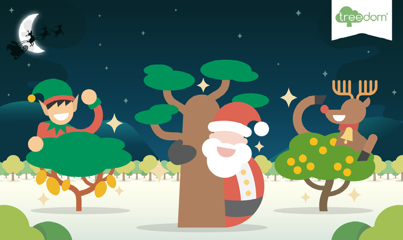 lilly_green_natale_2018-01_c_01