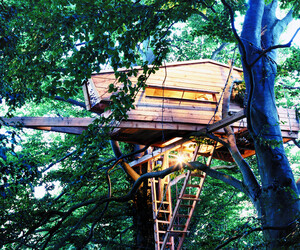 Der Traum vom Baumhaus für Erwachsene