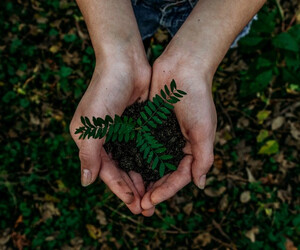 Greenwashing