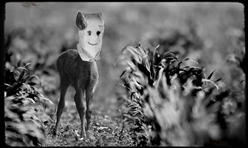 Wenn Bambi zum Killer wird...