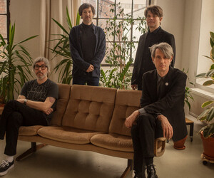 Die Hamburger Schule