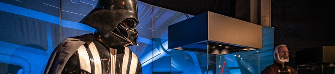 "The Fans Strike Back" Ausstellung