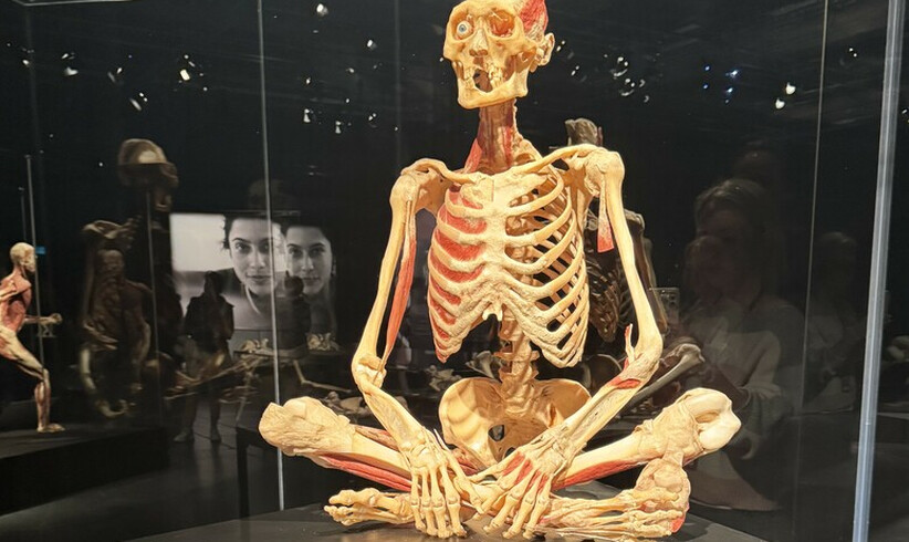 Eine Ausstellung über das Leben