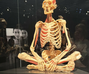 Eine Ausstellung über das Leben