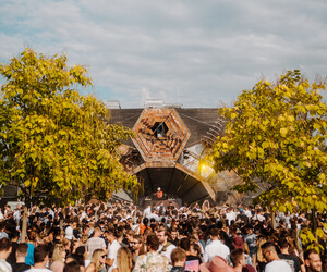 Back to the Woods Festival 2023