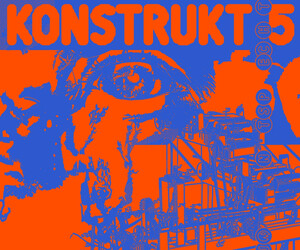 Buntspecht: Konstrukt 5