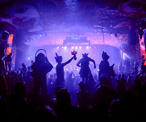 Sziget Festival 2025: Wir verlosen Tickets!