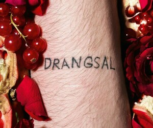 Drangsal - Harieschaim