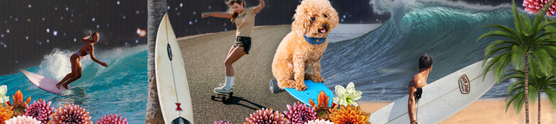 Everybody's gone surfin'