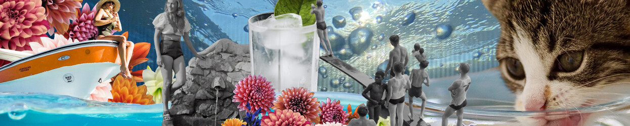 Wasser