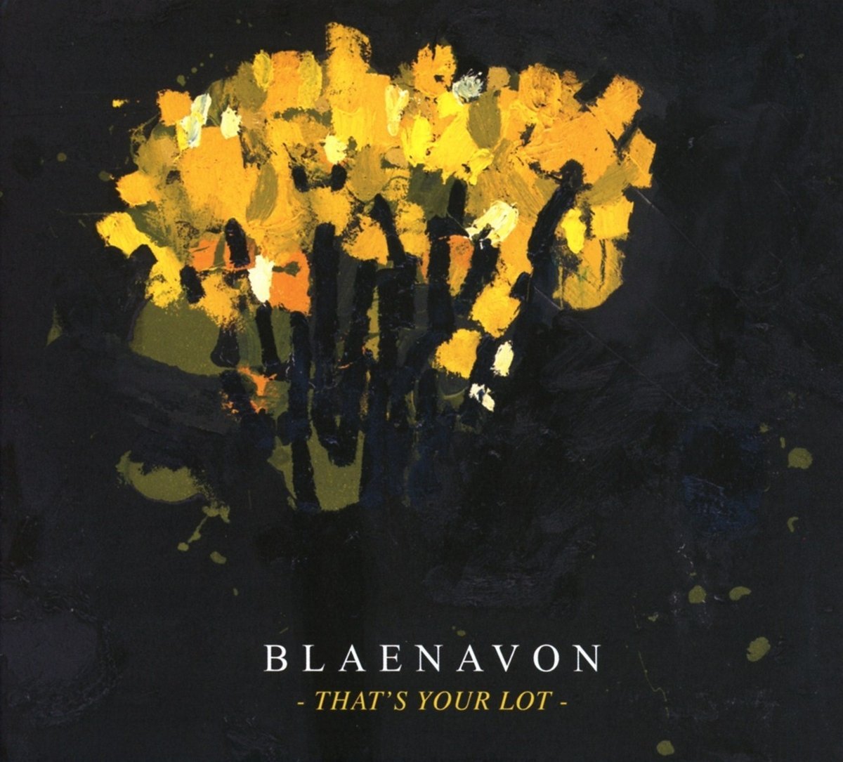 blaenavon thatsyourlot cover