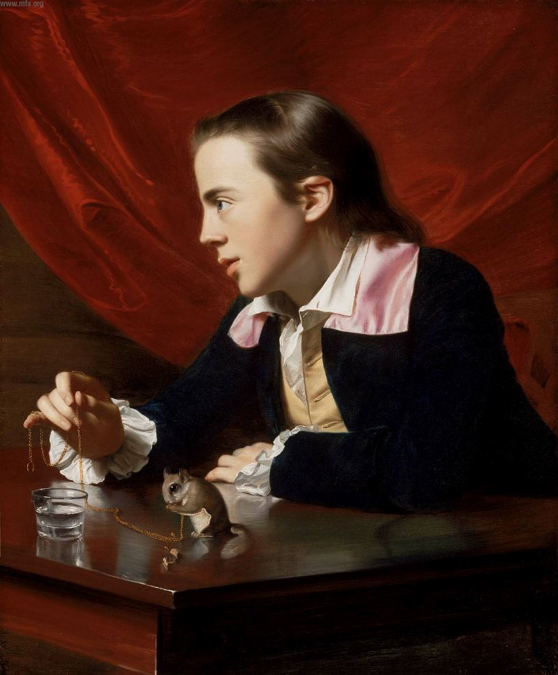 J S Copley - Boy with Squirrel